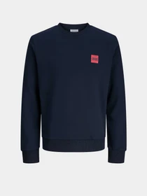 Худі та світшоти JACK & JONES BRANDY SWEAT CREW NECK модель 12279256_Sky Captain Фото