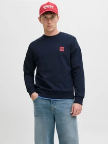 Худі та світшоти JACK & JONES BRANDY SWEAT CREW NECK модель 12279256_Sky Captain Фото
