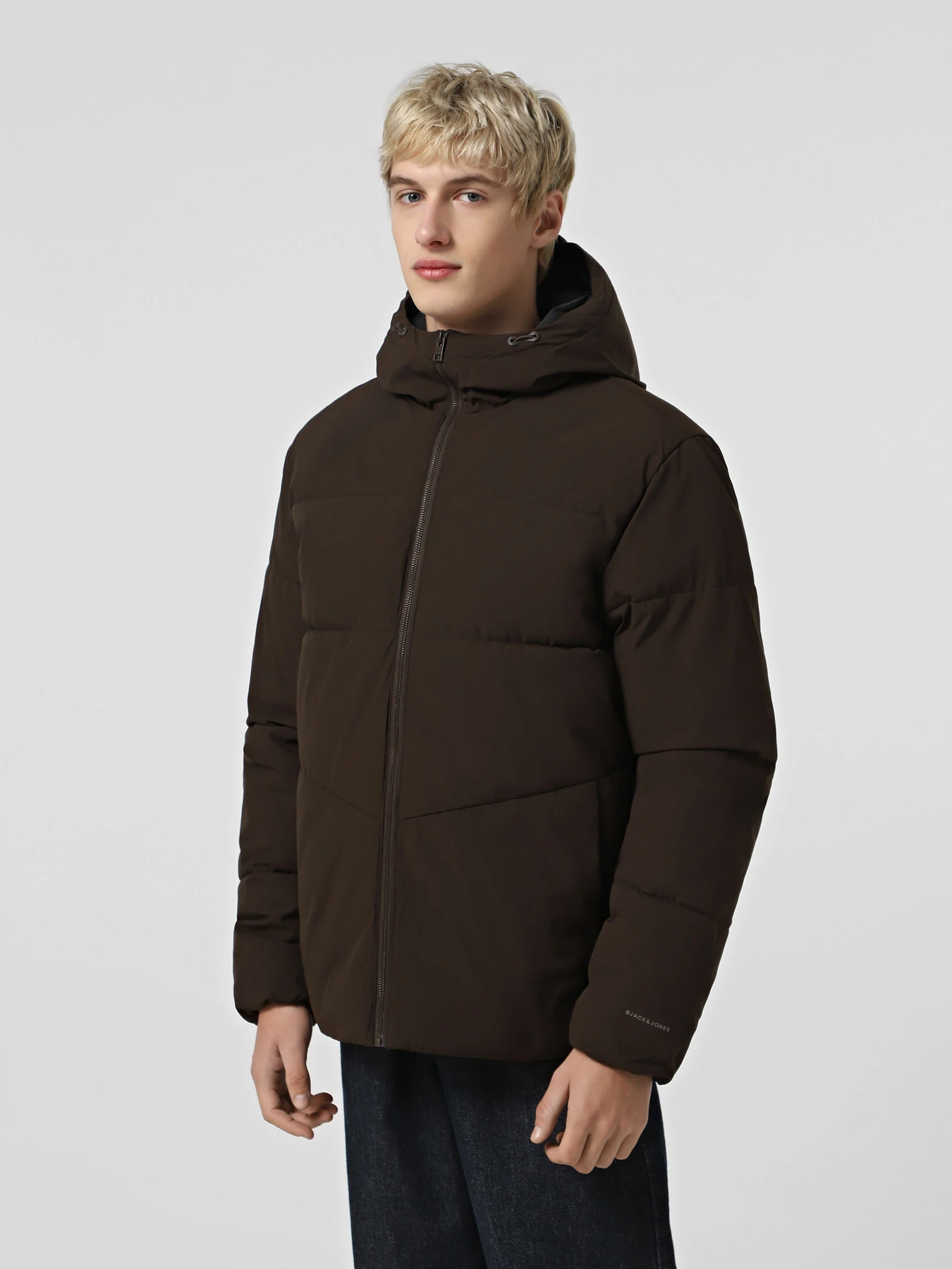 Куртки и дубленки JACK & JONES GLOBAL PUFFER JACKET модель 12283517_Delicioso Фото