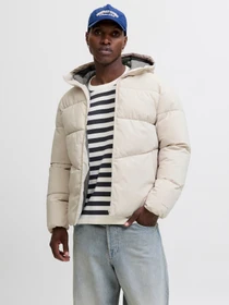 Куртки и дубленки JACK & JONES GLOBAL PUFFER JACKET модель 12283517_Moonbeam Фото