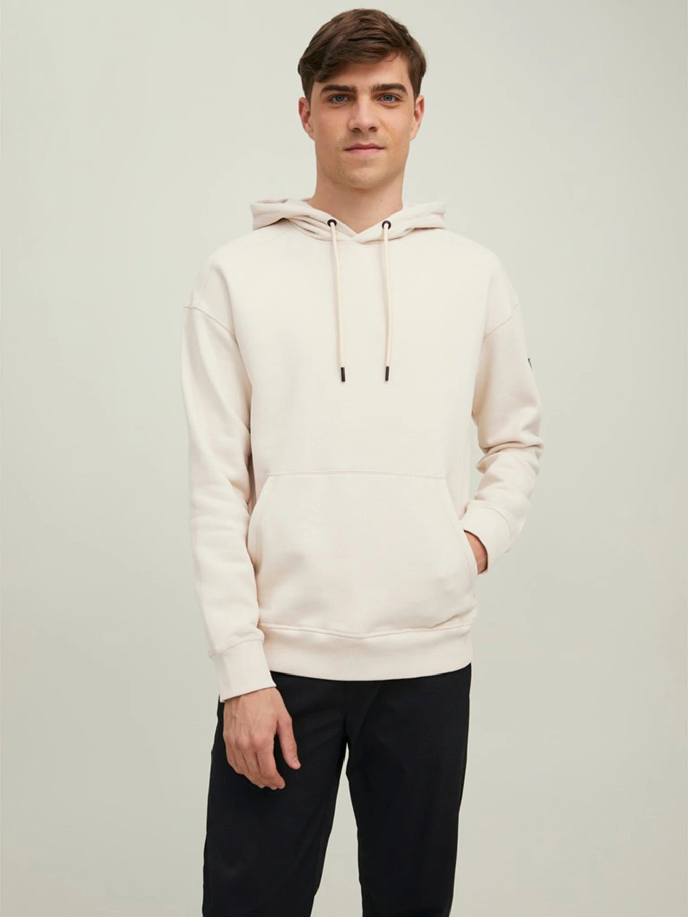 Худі та світшоти JACK & JONES модель 12216342_Moonbeam Худі та світшоти JACK & JONES модель 12216342_Moonbeam Фото
