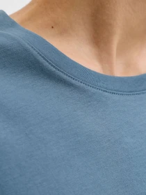 Футболки и поло JACK & JONES ORGANIC BASIC TEE модель 12156101_Blue Mirage Фото