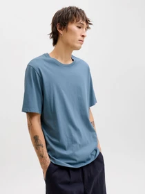 Футболки и поло JACK & JONES ORGANIC BASIC TEE модель 12156101_Blue Mirage Фото
