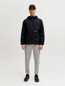 Брюки JACK & JONES GORDON BASE SWEAT PANTS модель 12288623_Light Grey Melange Фото