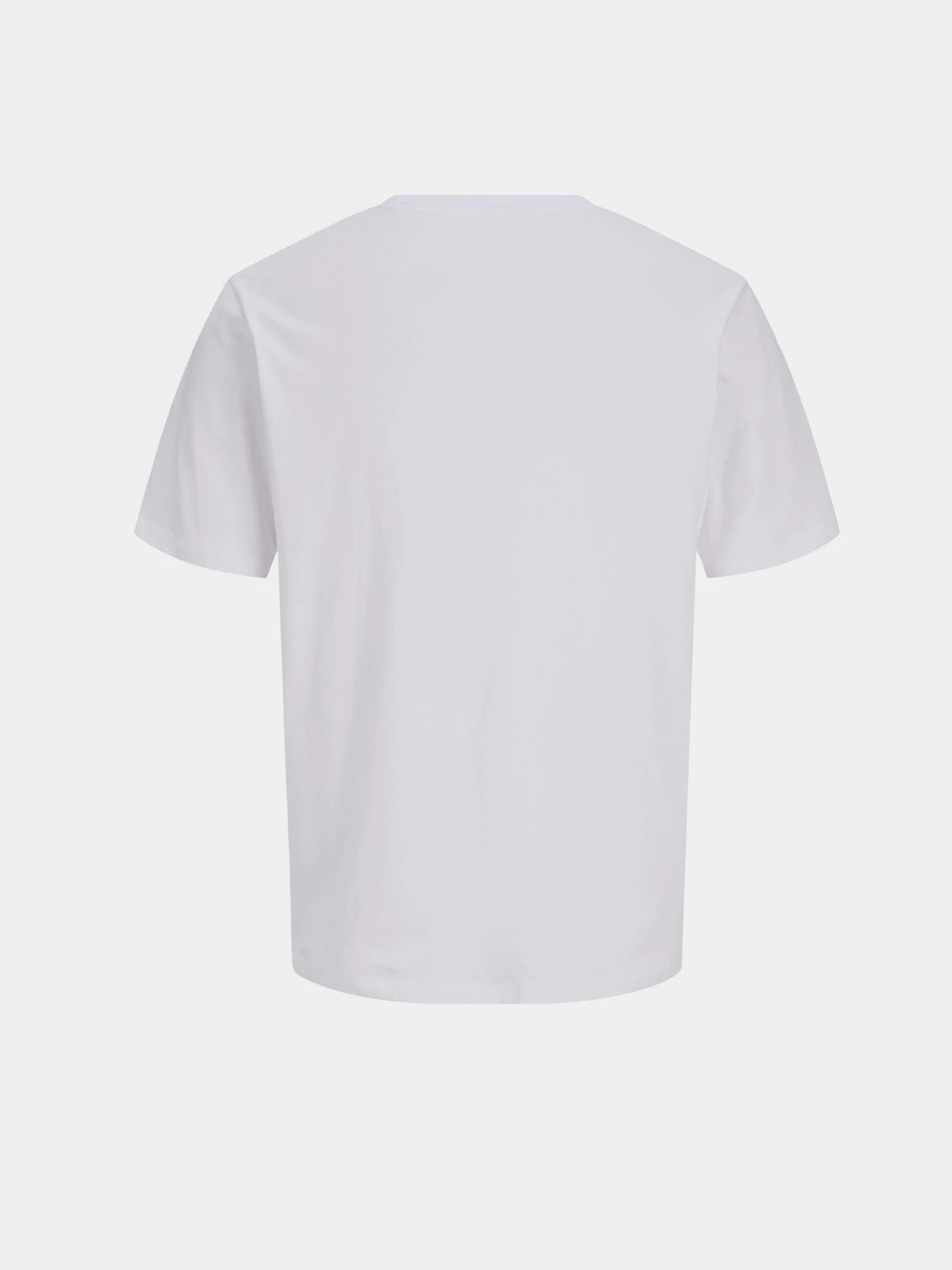 Футболки и поло JACK & JONES DEVIN DAYTONA PRINT TEE модель 12290173_Bright White Фото