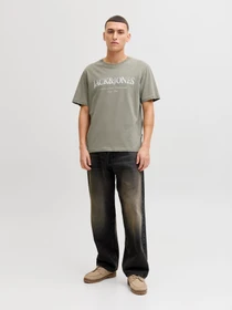 Футболки и поло JACK & JONES DEVIN DAYTONA PRINT TEE модель 12290173_Vetiver Фото