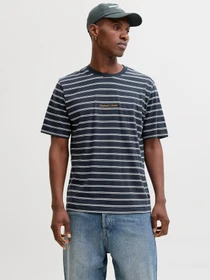 Футболки і поло JACK & JONES NORREBRO STRIPE TEE модель 12291021_Sky Captain Фото