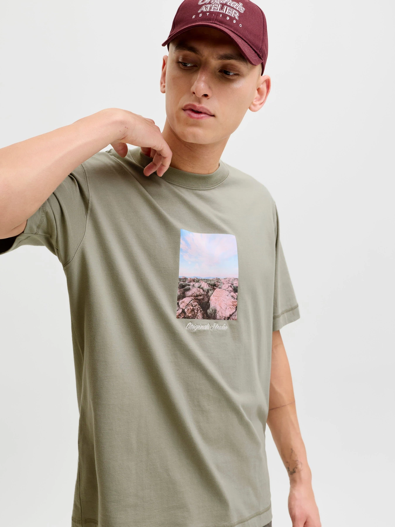 Футболки и поло JACK & JONES NORREBRO PHOTO TEE модель 12291022_Seagrass Фото