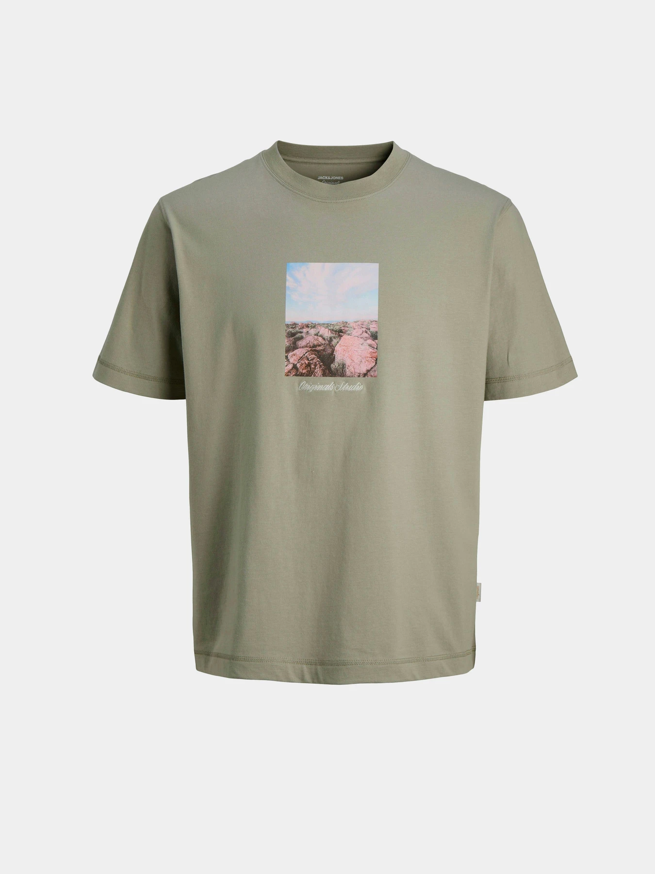 Футболки и поло JACK & JONES NORREBRO PHOTO TEE модель 12291022_Seagrass Фото