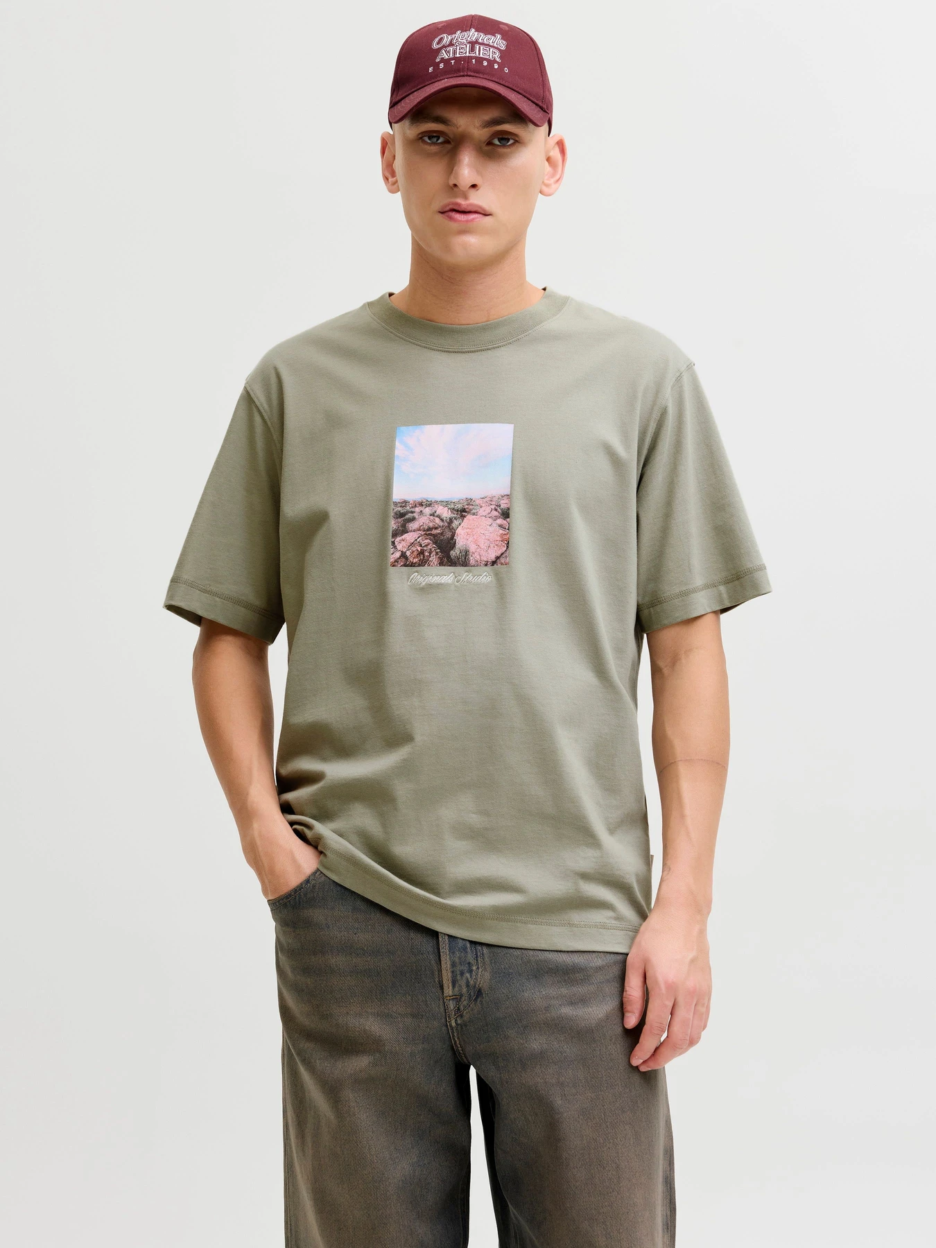 Футболки и поло JACK & JONES NORREBRO PHOTO TEE модель 12291022_Seagrass Фото