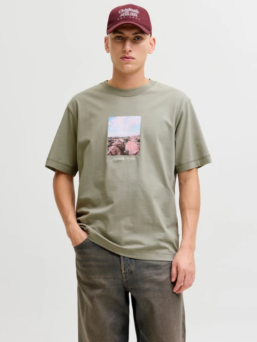 Футболки і поло JACK & JONES NORREBRO PHOTO TEE модель 12291022_Seagrass Фото