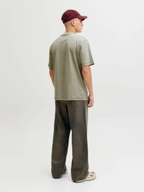 Футболки и поло JACK & JONES NORREBRO PHOTO TEE модель 12291022_Seagrass Фото