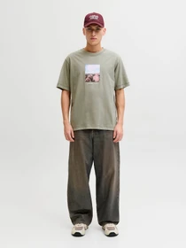 Футболки и поло JACK & JONES NORREBRO PHOTO TEE модель 12291022_Seagrass Фото