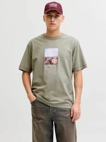 Футболки и поло JACK & JONES NORREBRO PHOTO TEE модель 12291022_Seagrass Фото