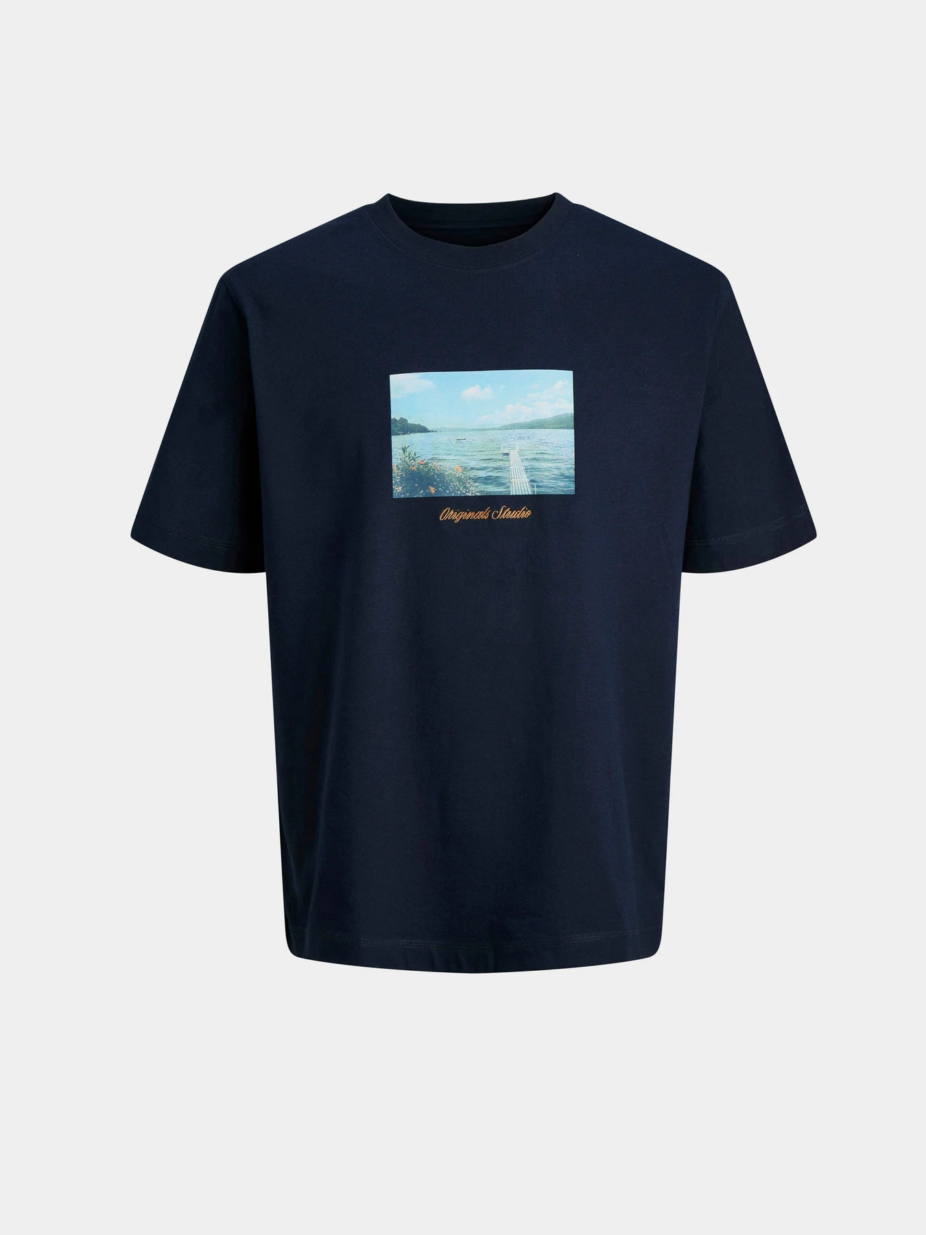 Футболки и поло JACK & JONES NORREBRO PHOTO TEE модель 12291022_Sky Captain Фото