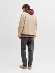 Брюки JACK & JONES KANE FRANK CARGO модель 12291962_Asphalt Фото