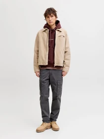 Брюки JACK & JONES KANE FRANK CARGO модель 12291962_Asphalt Фото