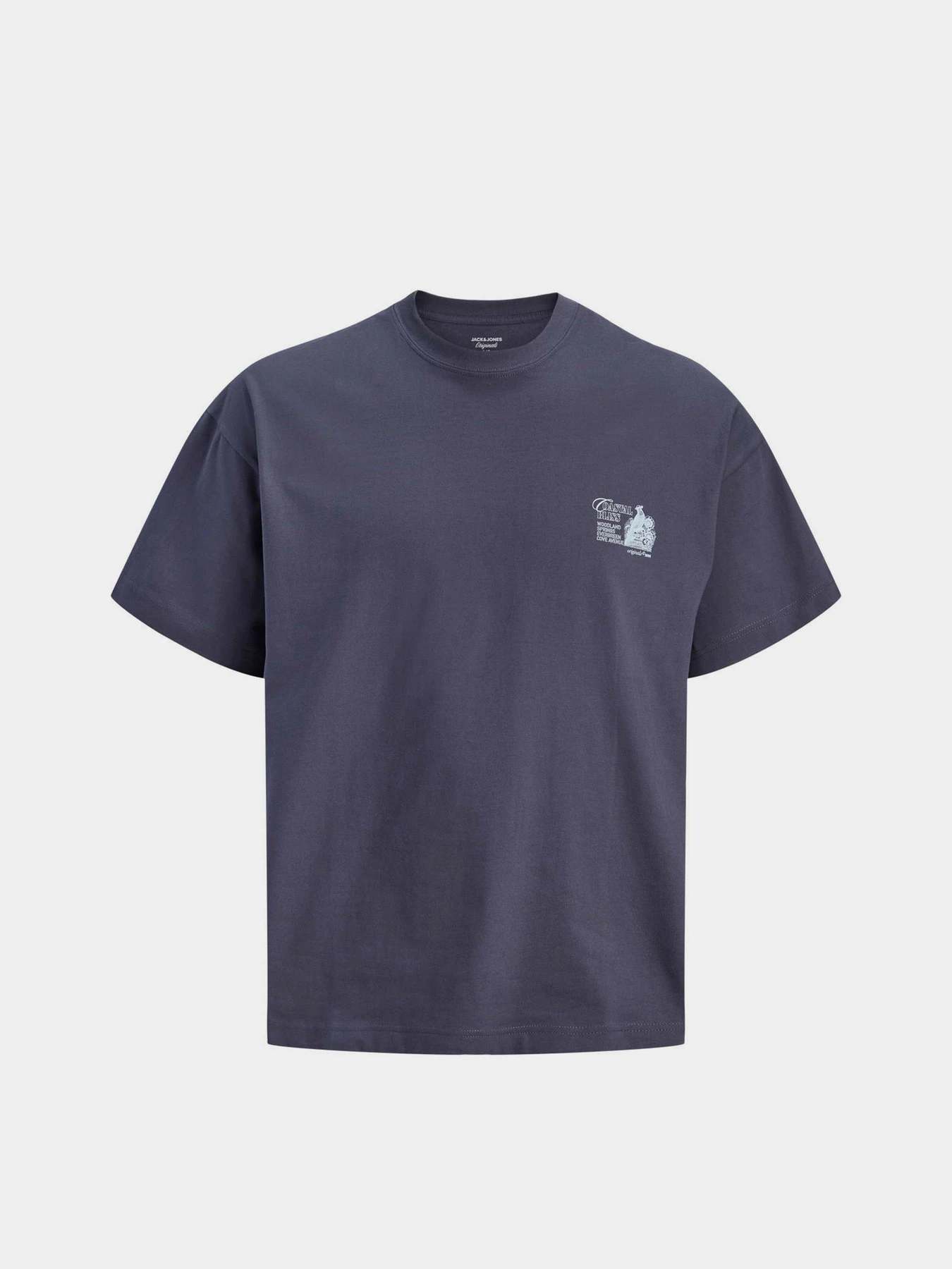 Футболки і поло JACK & JONES MAINE BACK TEE модель 12291780_Odyssey Gray Футболки і поло JACK & JONES MAINE BACK TEE модель 12291780_Odyssey Gray Фото