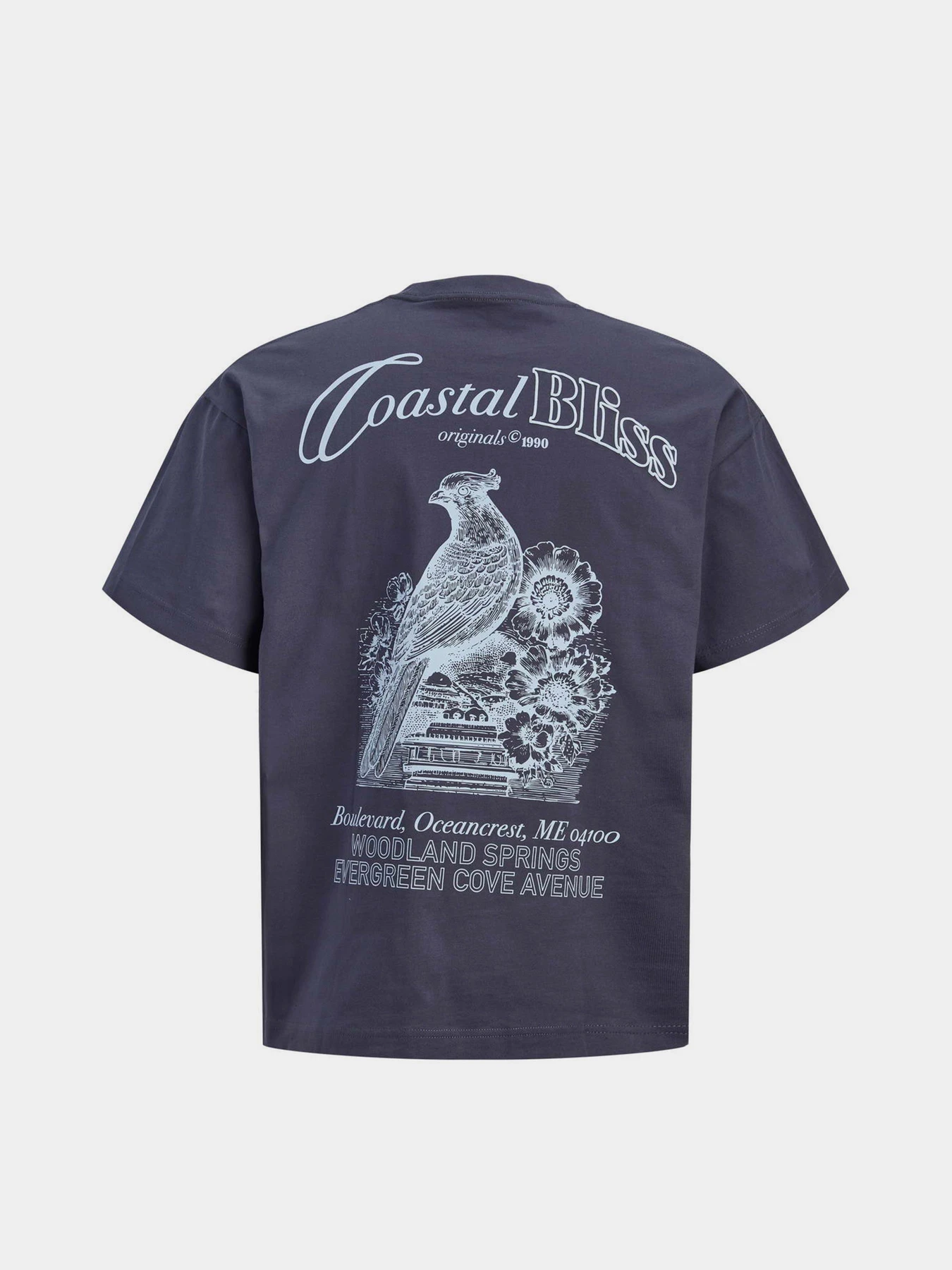 Футболки і поло JACK & JONES MAINE BACK TEE модель 12291780_Odyssey Gray Футболки і поло JACK & JONES MAINE BACK TEE модель 12291780_Odyssey Gray Фото