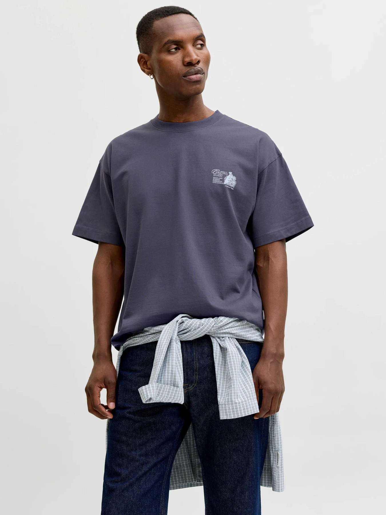 Футболки і поло JACK & JONES MAINE BACK TEE модель 12291780_Odyssey Gray Футболки і поло JACK & JONES MAINE BACK TEE модель 12291780_Odyssey Gray Фото