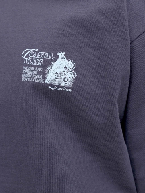 Бавовняна Чоловіча Футболка JACK & JONES MAINE BACK TEE фото 3