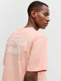 Футболки и поло JACK & JONES MAINE BACK TEE модель 12291780_Peach Melba Фото