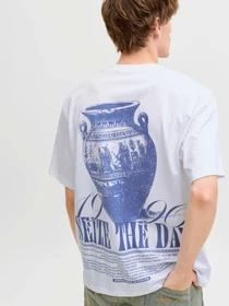 Футболки і поло JACK & JONES TRENDY OBJECTS TEE модель 12293426_Bright White Фото