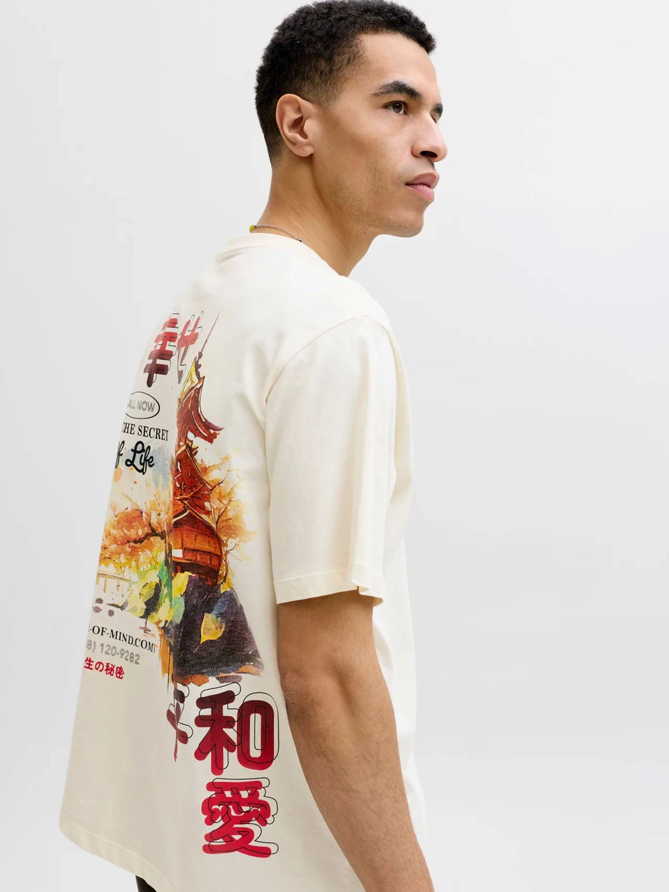 Футболки і поло JACK & JONES BIG JAPAN TEE модель 12293428_Antique White RED AW Футболки і поло JACK & JONES BIG JAPAN TEE модель 12293428_Antique White RED AW Фото