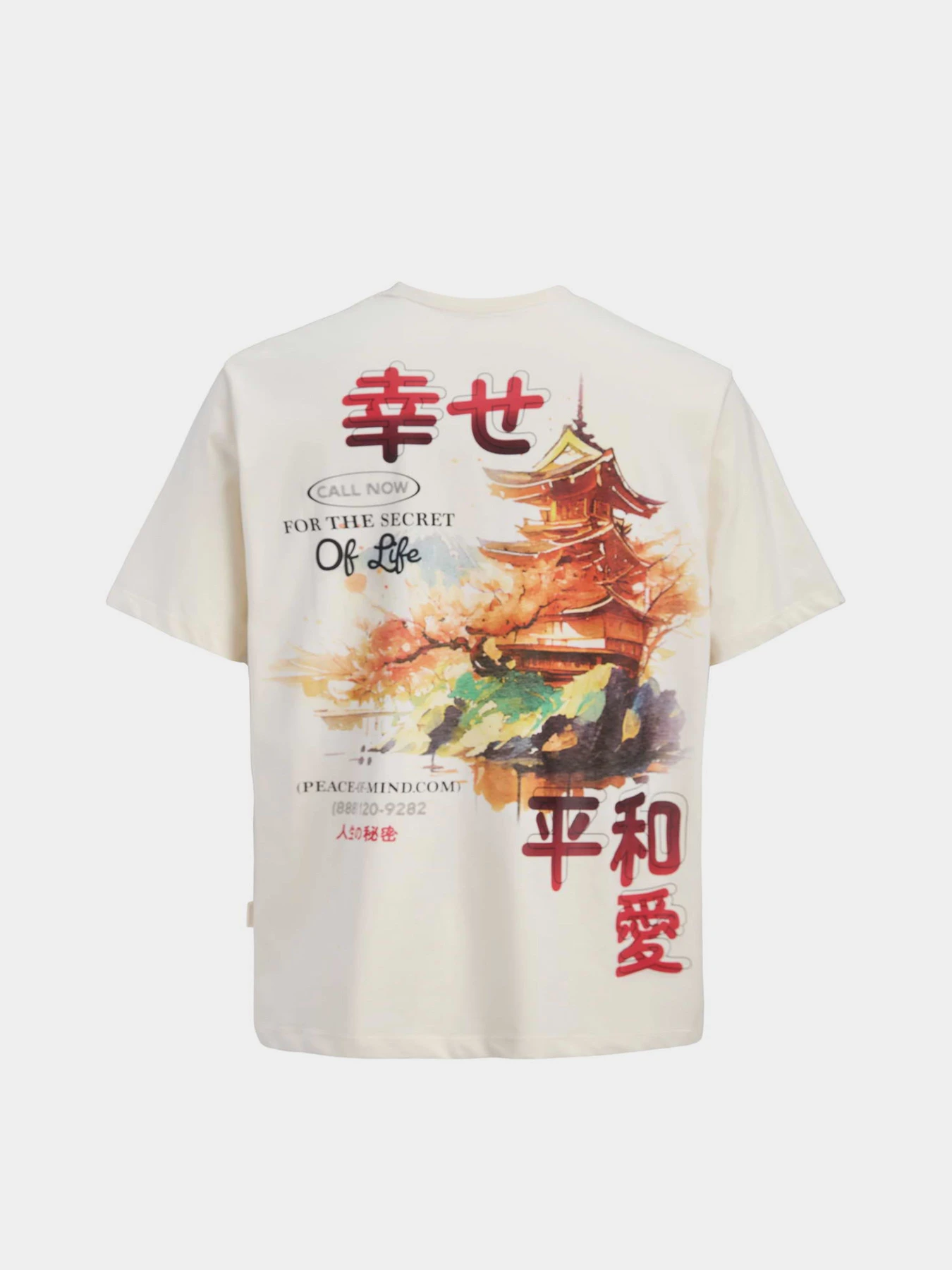 Футболки і поло JACK & JONES BIG JAPAN TEE модель 12293428_Antique White RED AW Футболки і поло JACK & JONES BIG JAPAN TEE модель 12293428_Antique White RED AW Фото