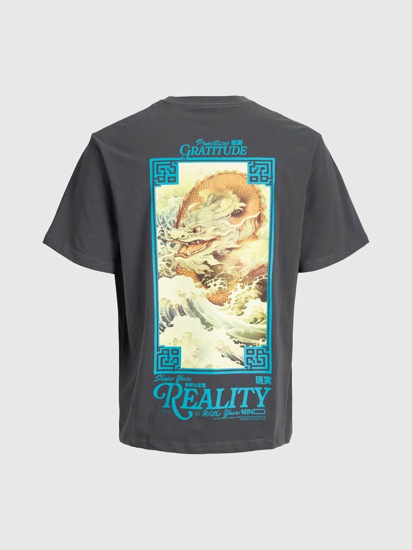Футболки і поло JACK & JONES BIG JAPAN TEE модель 12293428_Asphalt Фото