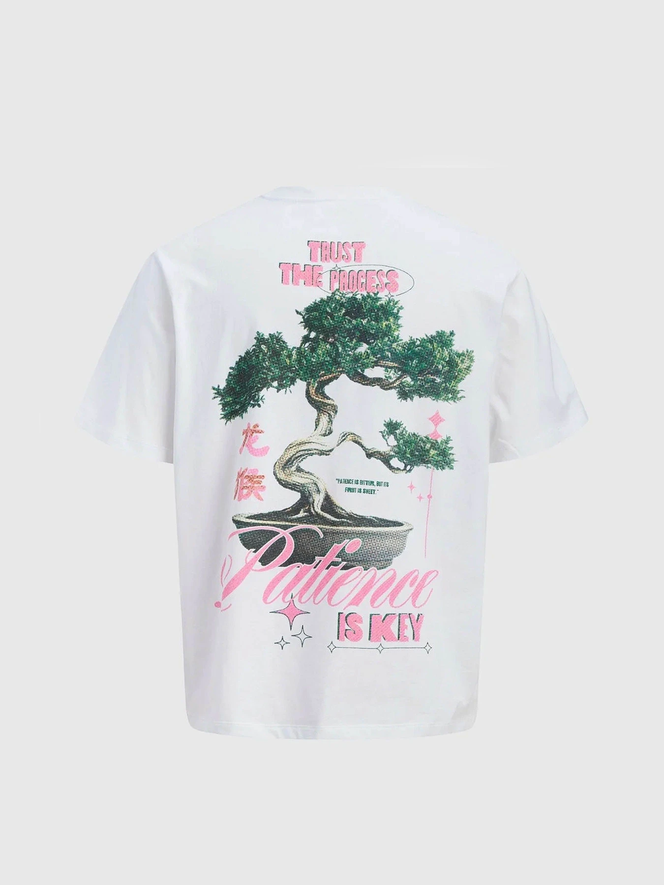 Футболки и поло JACK & JONES BIG JAPAN TEE модель 12293428_Bright White Фото