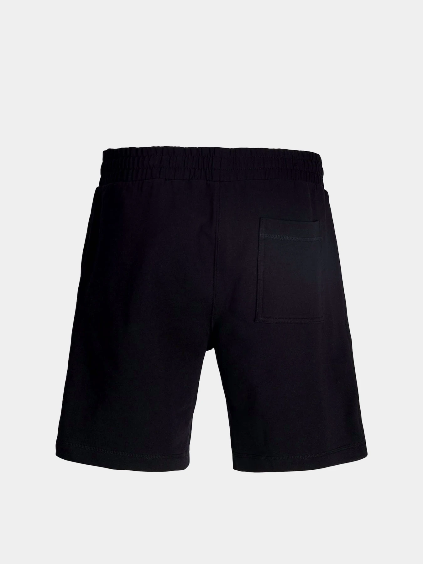 Шорты JACK & JONES KARL NORREBRO SWEAT SHORTS модель 12292565_Black Шорты JACK & JONES KARL NORREBRO SWEAT SHORTS модель 12292565_Black Фото