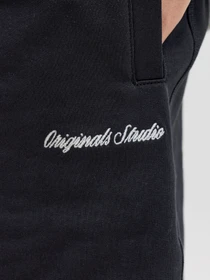 Шорты JACK & JONES KARL NORREBRO SWEAT SHORTS модель 12292565_Black Фото