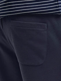 Шорты JACK & JONES GORDON BRADLEY SWEAT SHORTS модель 12249285_Navy Blazer Фото