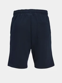 Шорты JACK & JONES GORDON BRADLEY SWEAT SHORTS модель 12249285_Navy Blazer Фото