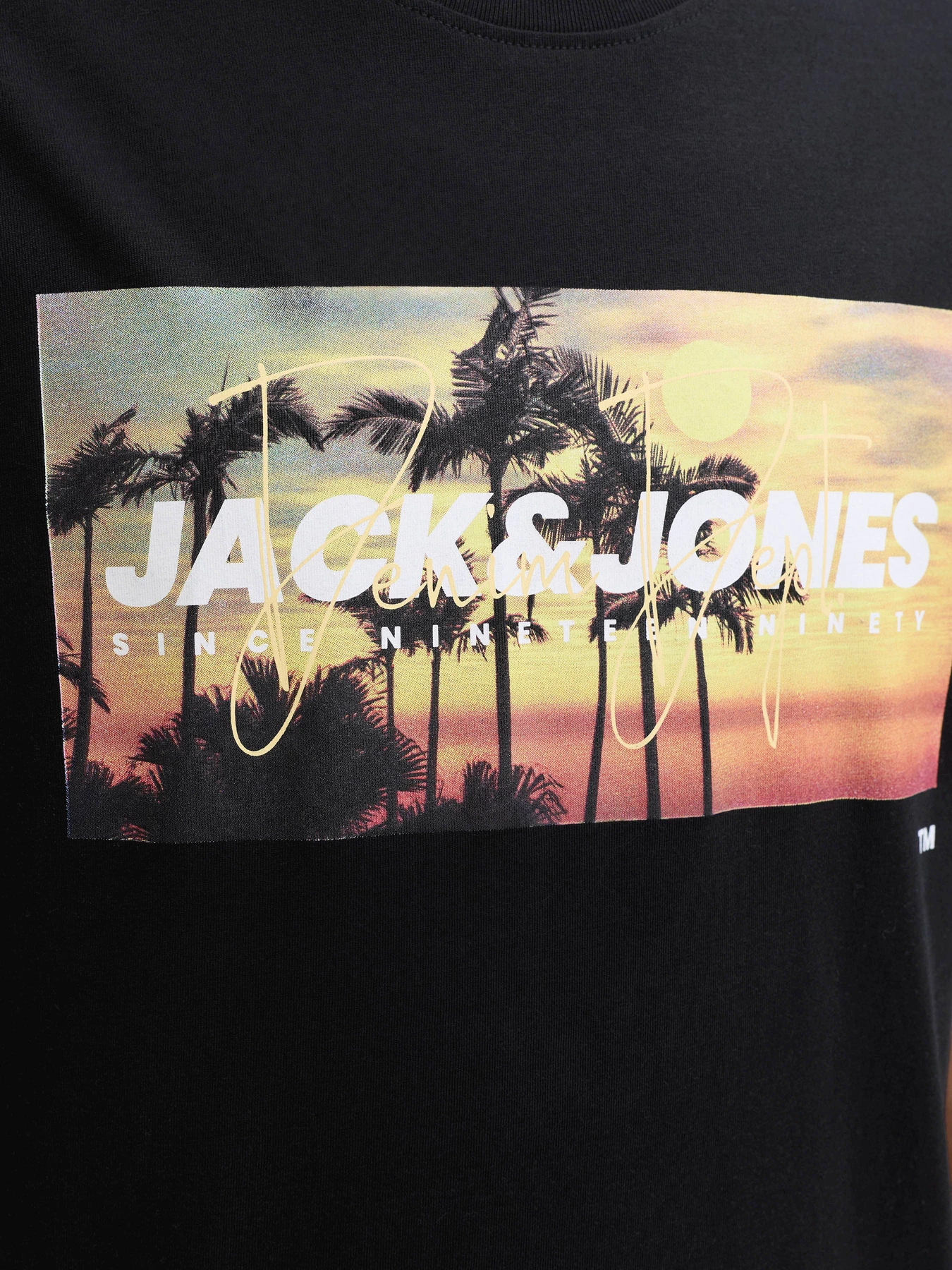 Футболки і поло JACK & JONES INDIANA TEE модель 12288112_Black Фото