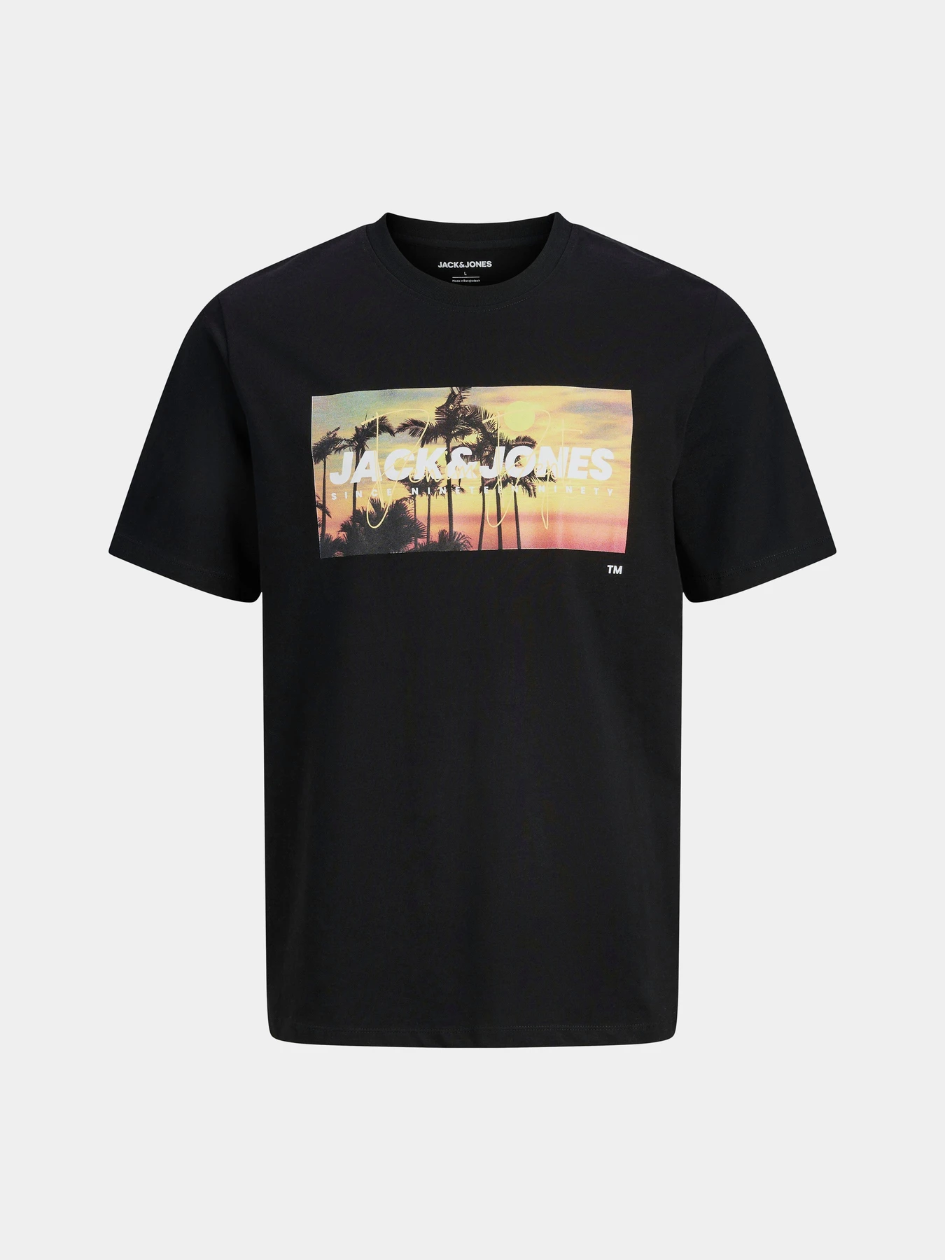 Футболки і поло JACK & JONES INDIANA TEE модель 12288112_Black Фото