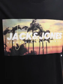 Футболки і поло JACK & JONES INDIANA TEE модель 12288112_Black Фото