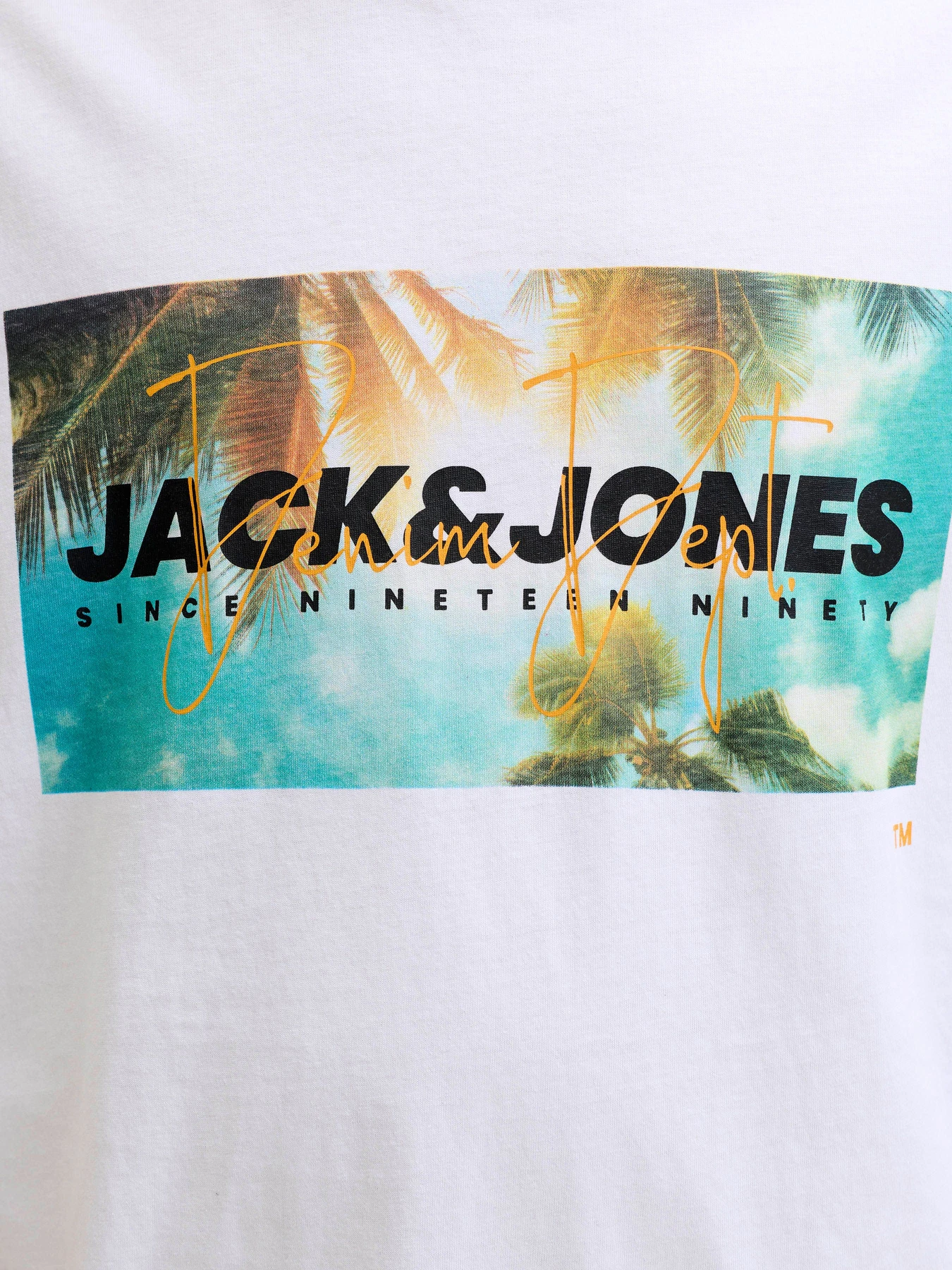 Футболки і поло JACK & JONES INDIANA TEE модель 12288112_Bright White Фото
