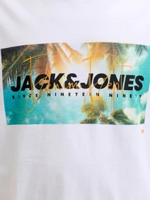 Футболки і поло JACK & JONES INDIANA TEE модель 12288112_Bright White Фото