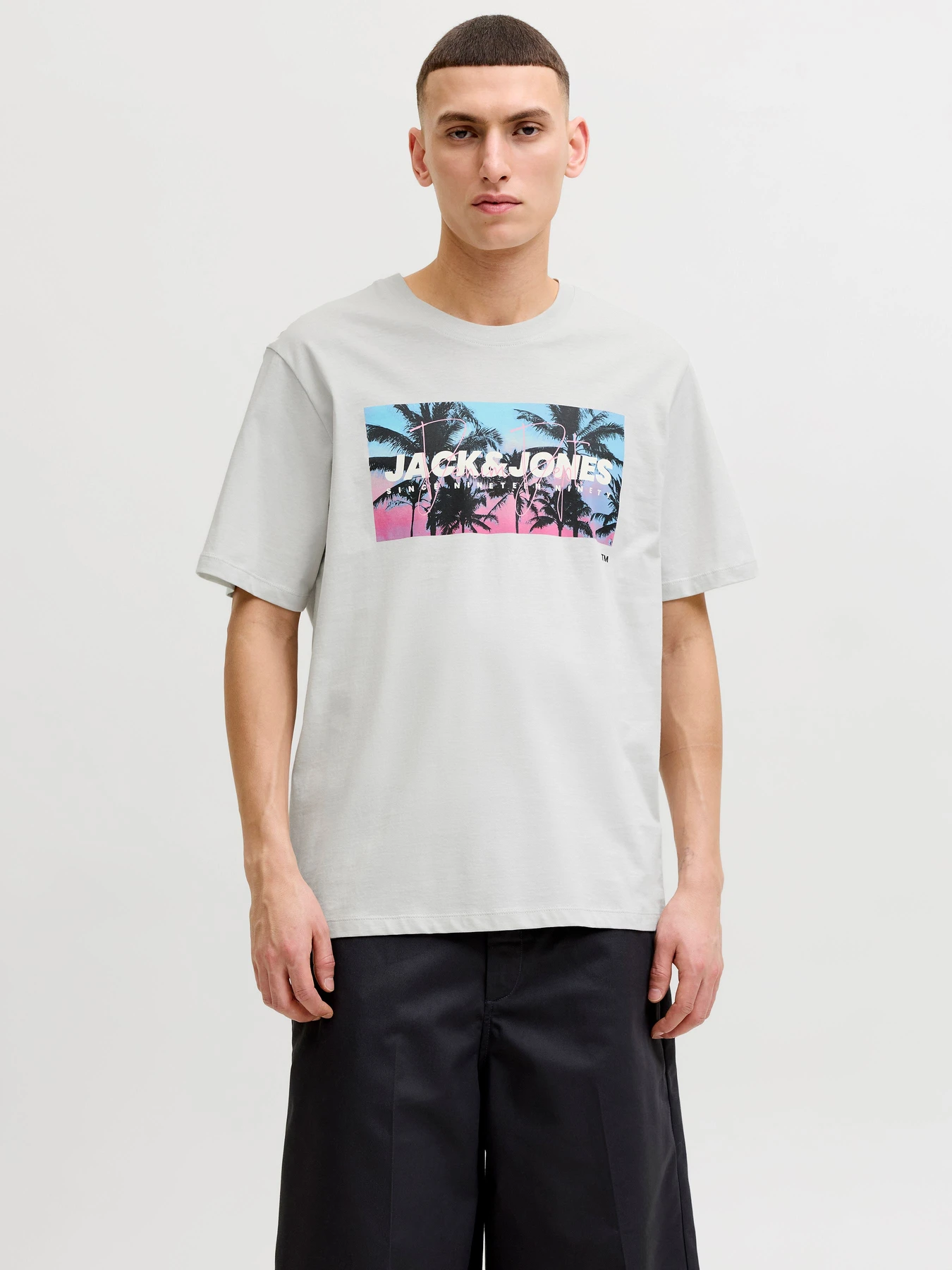 Футболки і поло JACK & JONES INDIANA TEE модель 12288112_Glacier Gray Фото