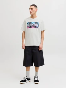 Футболки і поло JACK & JONES INDIANA TEE модель 12288112_Glacier Gray Фото