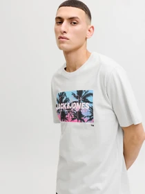Футболки і поло JACK & JONES INDIANA TEE модель 12288112_Glacier Gray Фото