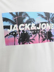 Футболки і поло JACK & JONES INDIANA TEE модель 12288112_Glacier Gray Фото