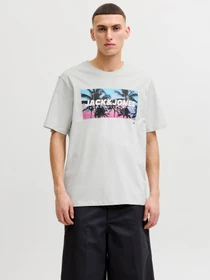 Футболки и поло JACK & JONES INDIANA TEE модель 12288112_Glacier Gray Фото