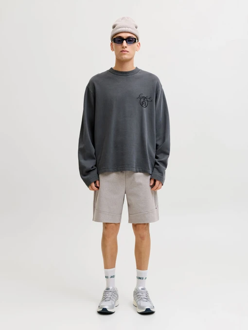 Чоловічі Повсякденні шорти JACK & JONES GORDON BASE SWEAT SHORTS фото 2