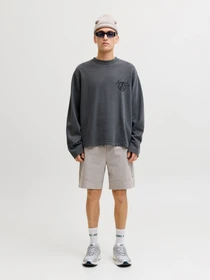Шорти JACK & JONES GORDON BASE SWEAT SHORTS модель 12288632_Light Grey Melange Фото