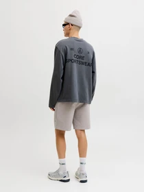 Шорти JACK & JONES GORDON BASE SWEAT SHORTS модель 12288632_Light Grey Melange Фото