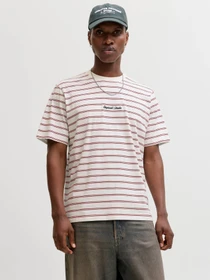 Футболки і поло JACK & JONES NORREBRO STRIPE TEE модель 12291021_Cabernet Фото