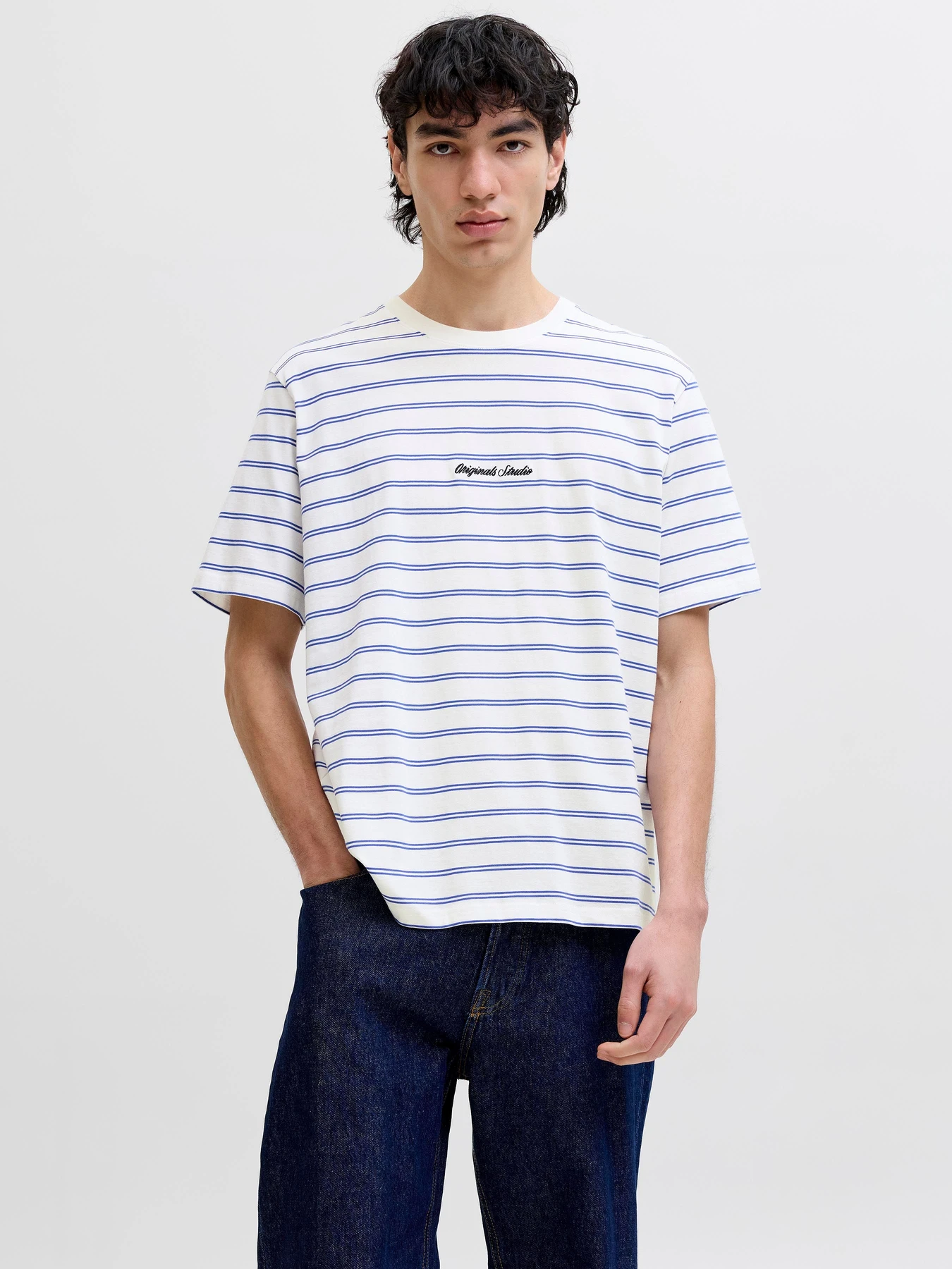 Футболки і поло JACK & JONES NORREBRO STRIPE TEE модель 12291021_Cloud Dancer Фото